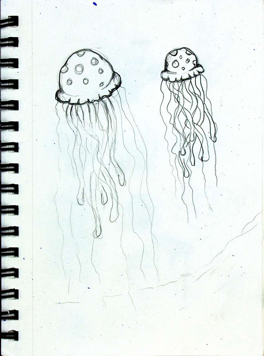 Jellyfish Sketchs